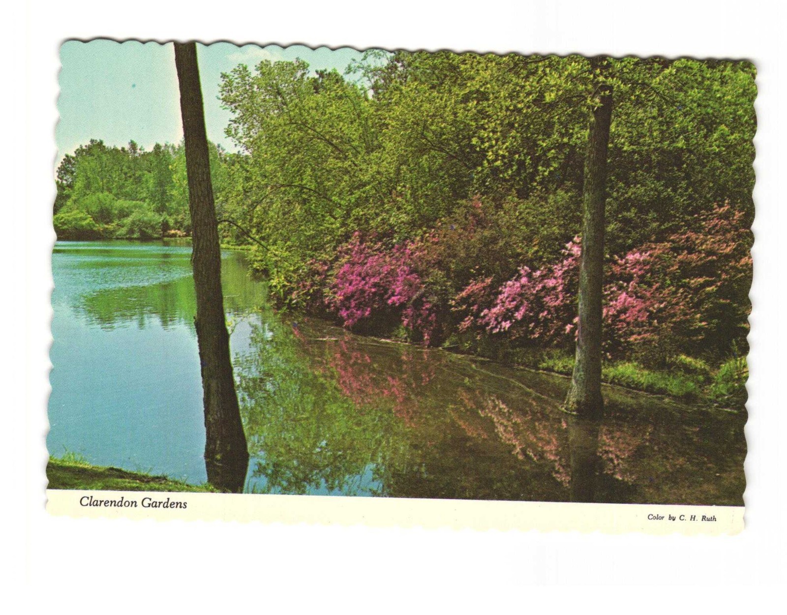 Clarendon Gardens Pinehurst NC vintage postcard Unposted