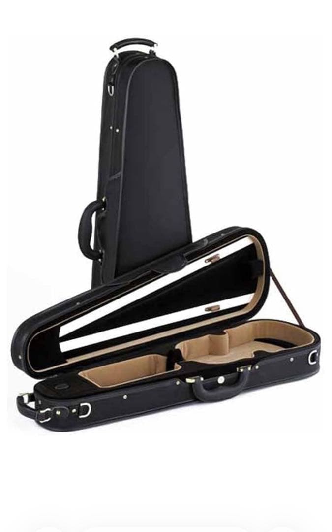 violin case black hard case