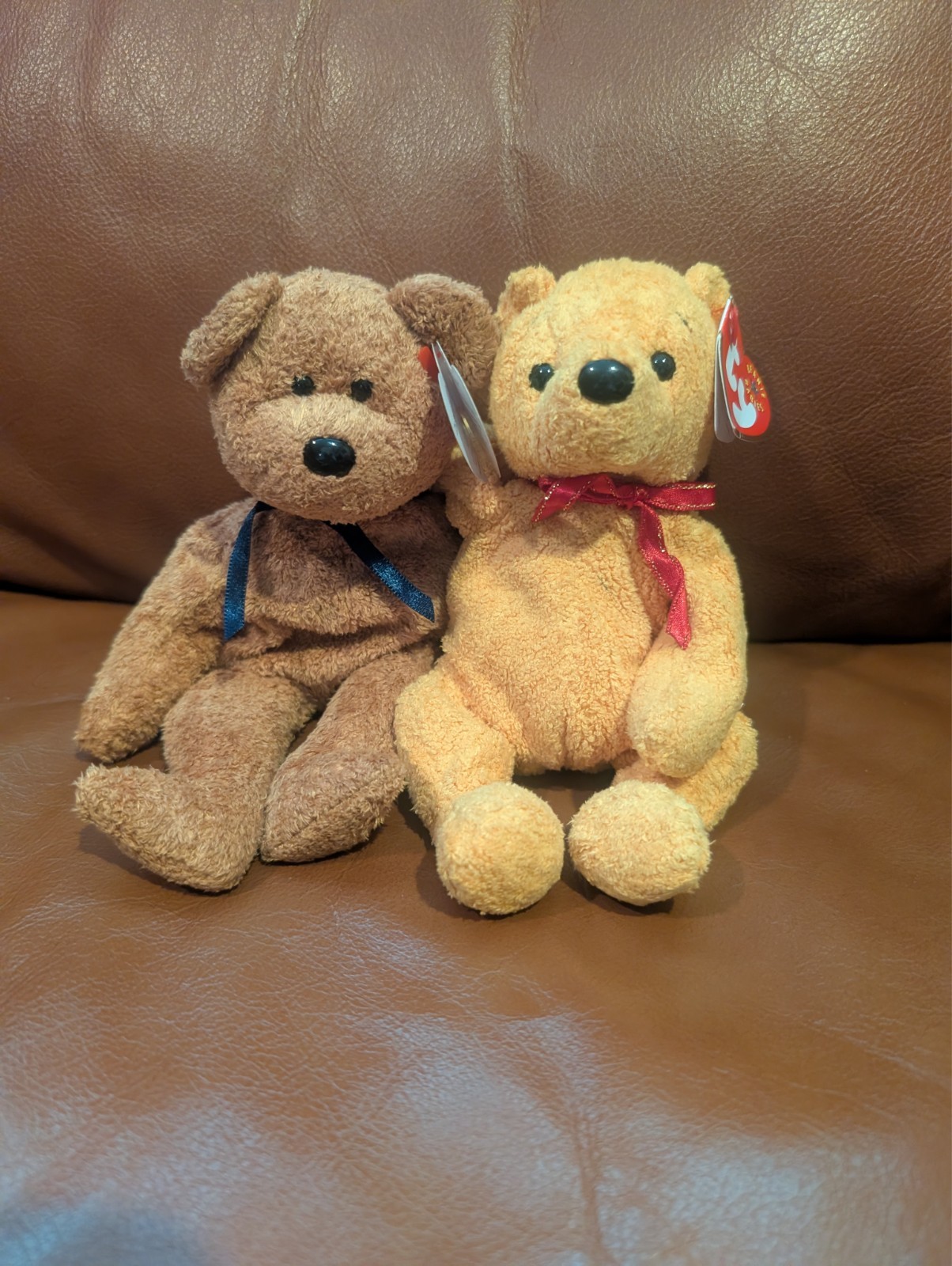 Ty Beanie Babies – Poopsie (2001) & Fuzzy (1999) – A Cute and Comical Duo!