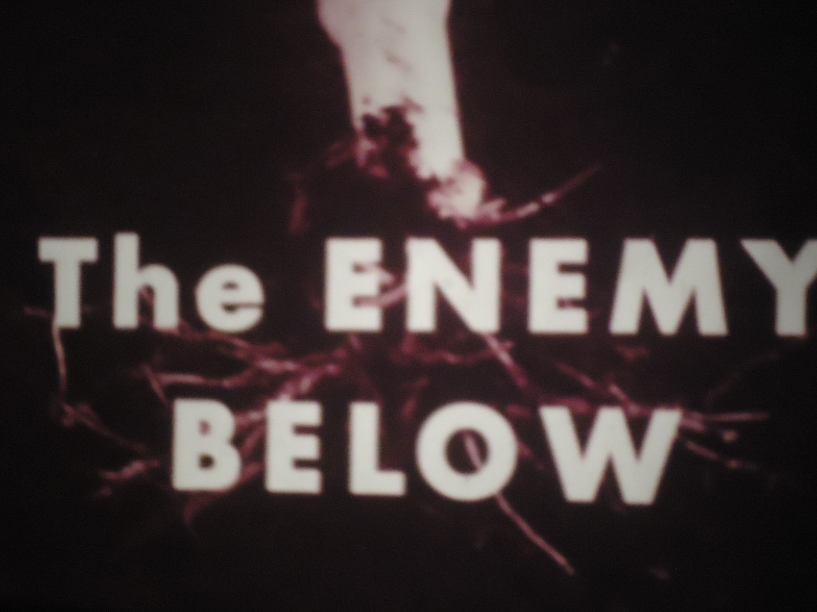 16mm   The Enemy Below: Root Worn 800' Red  