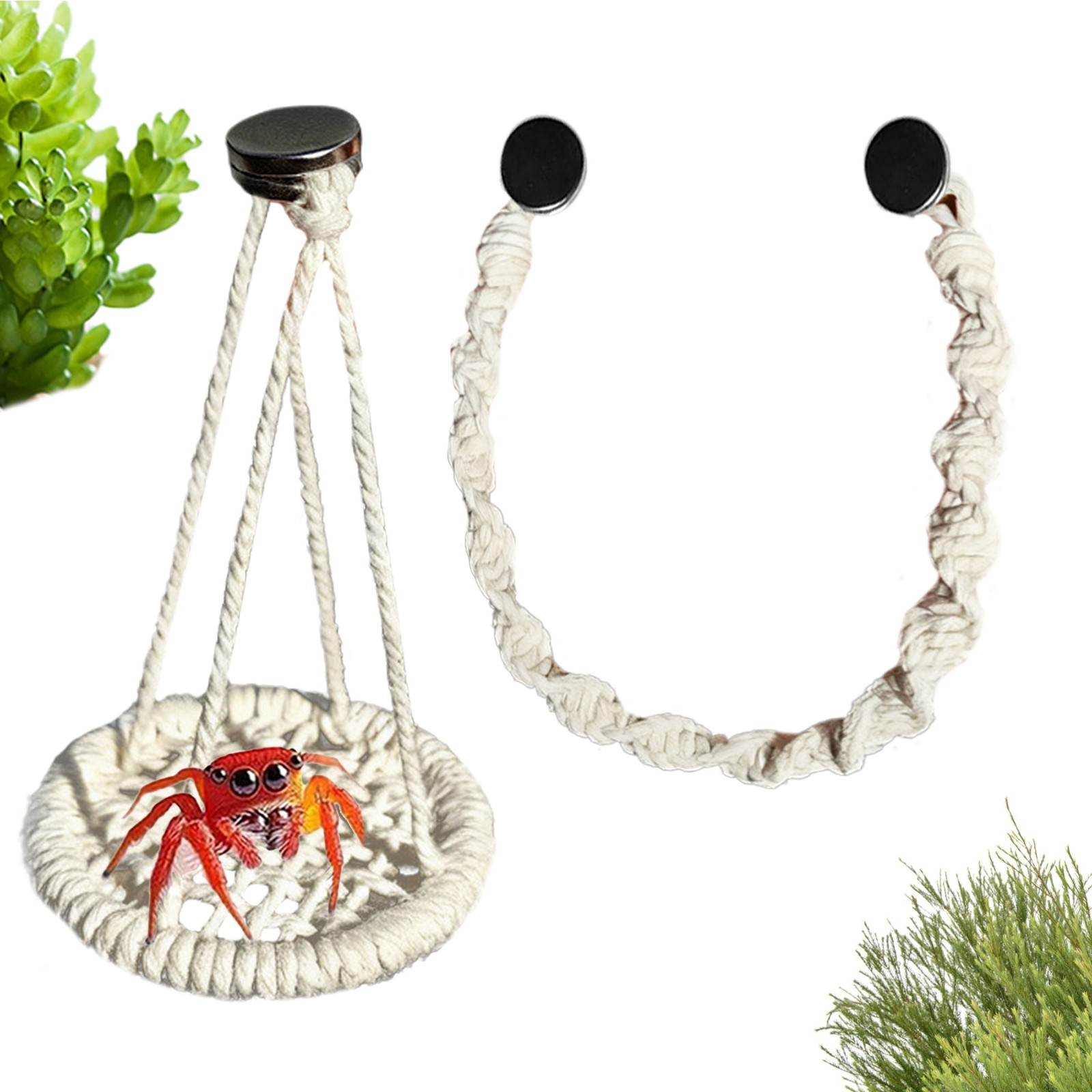 Spider Enclosure Accessories Hangable Rope Swing Jumping Spider