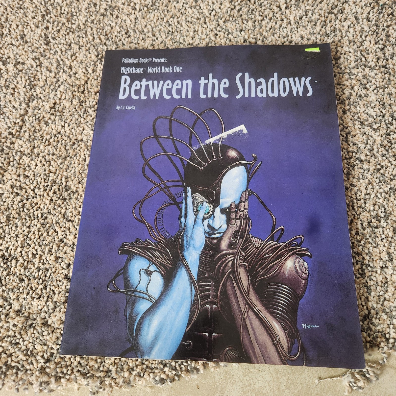 Nightbane World Book One: Between the Shadows