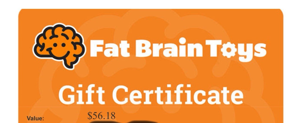 Fat Brain Toys Gift Certificate $56.18!  Air Toobz Bilibo Playtab!