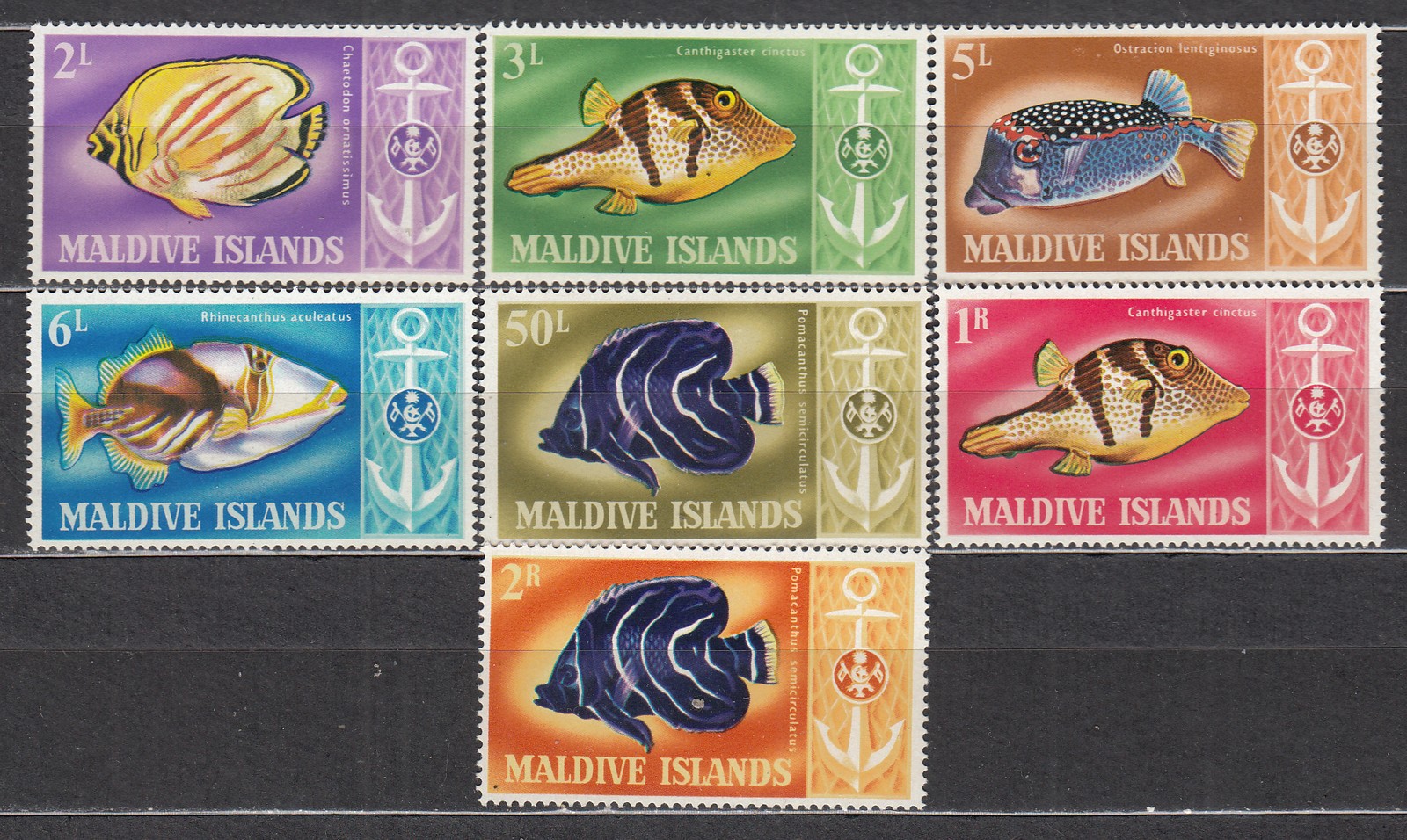 Maldives - Yvert Mail 214/20 * Mh Fauna - Fish
