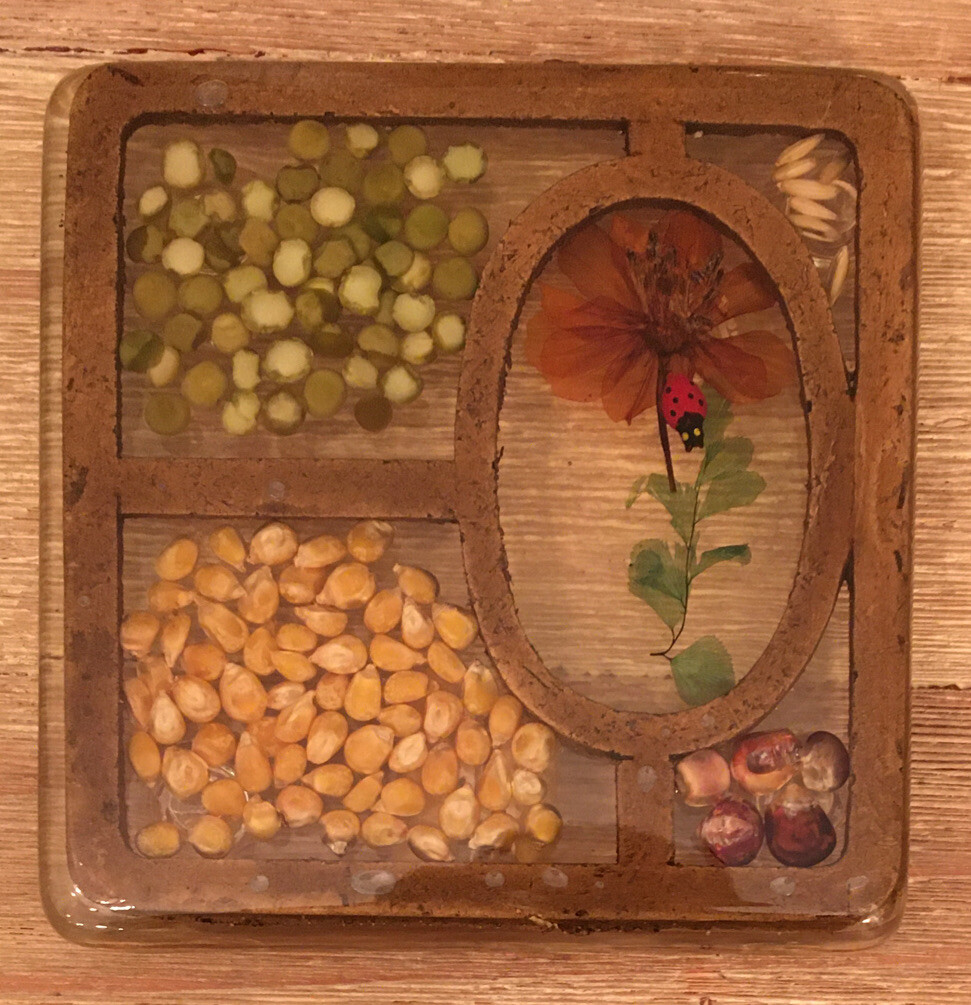 Vintage 1970s Trivet Resin Art Seeds Pressed Flowers Lucite Acrylic Retro 5”x5”