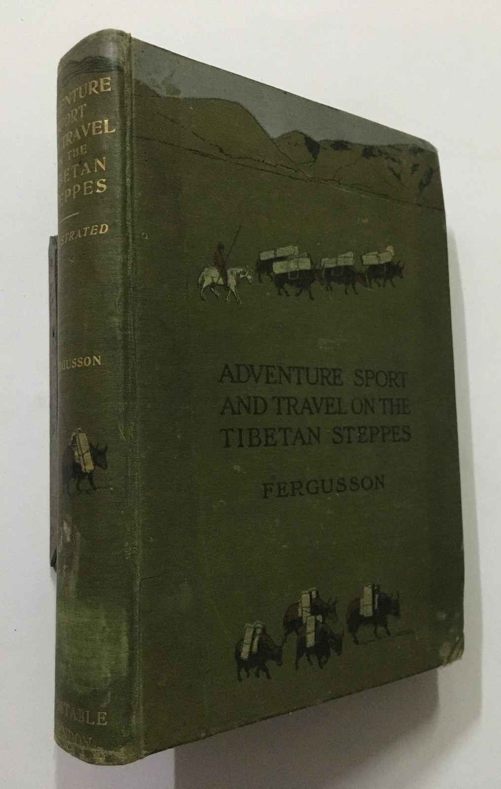 Fergusson, W. N: Adventure Sport And Travel On The Tibetan Steppes. 1911. 343p