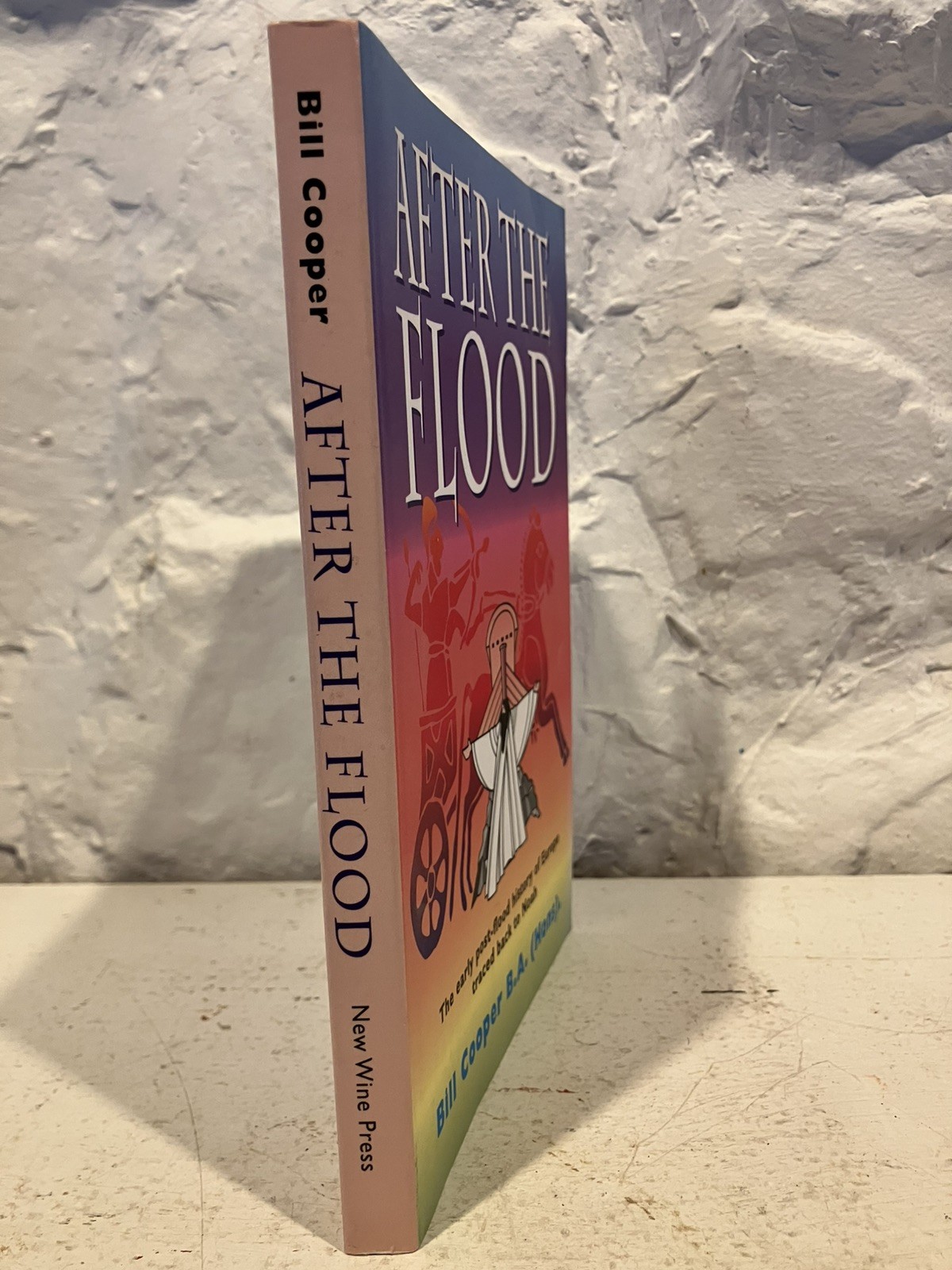 Bill Cooper After the Flood (Paperback) (UK IMPORT)