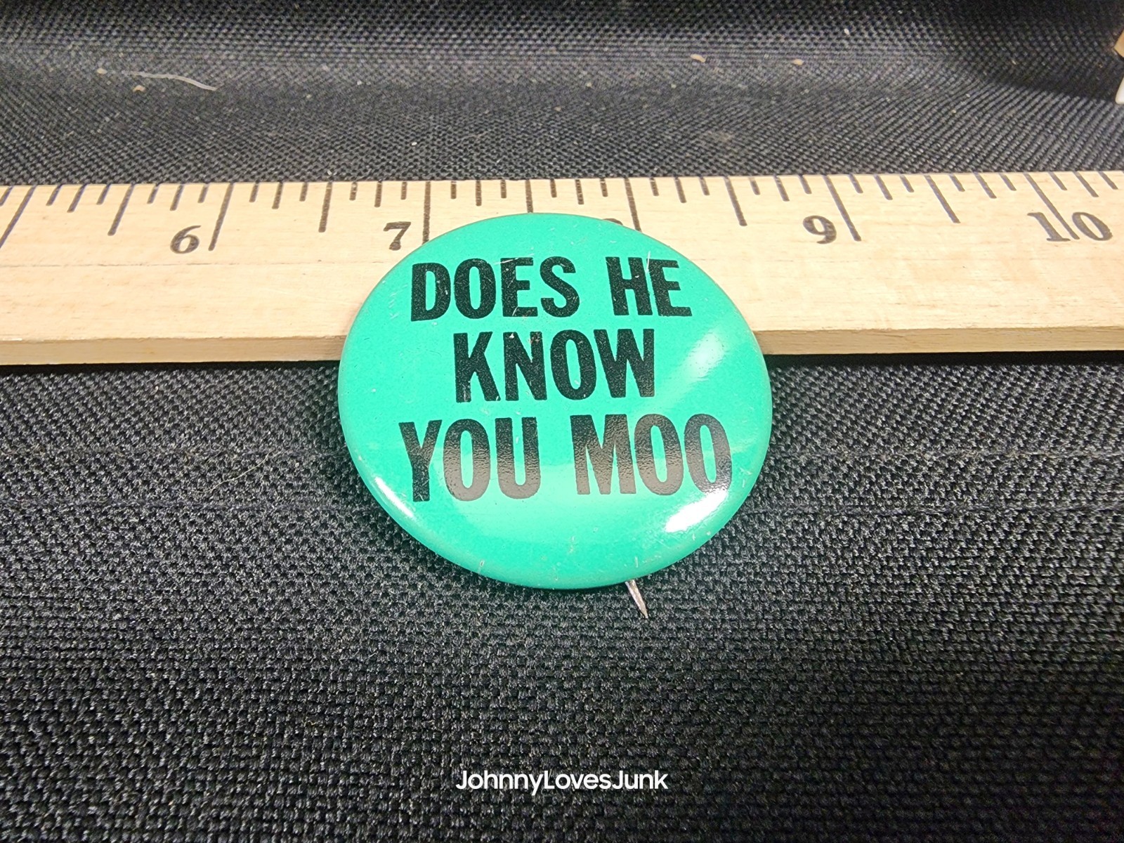 Vintage "Does He Know You Moo" Pinback Button Used Comedy Gag Gift