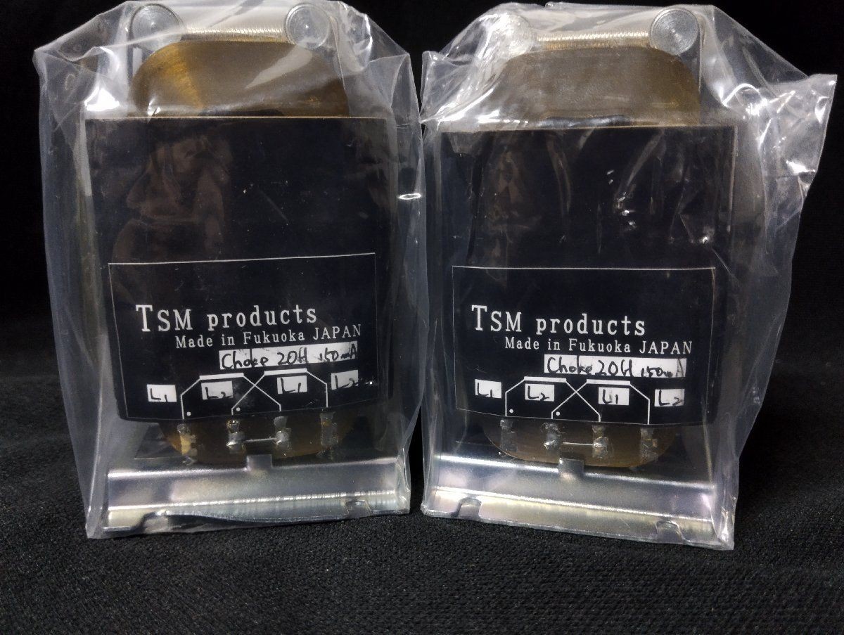 TSM Products Choke Coil 20H 250mA Pair Used Inductors