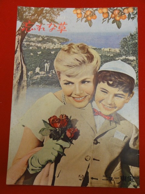 27580 Don't Forget Me New Toho B5 Size Brochure Sabine Bettmann Ferruccio Taglia