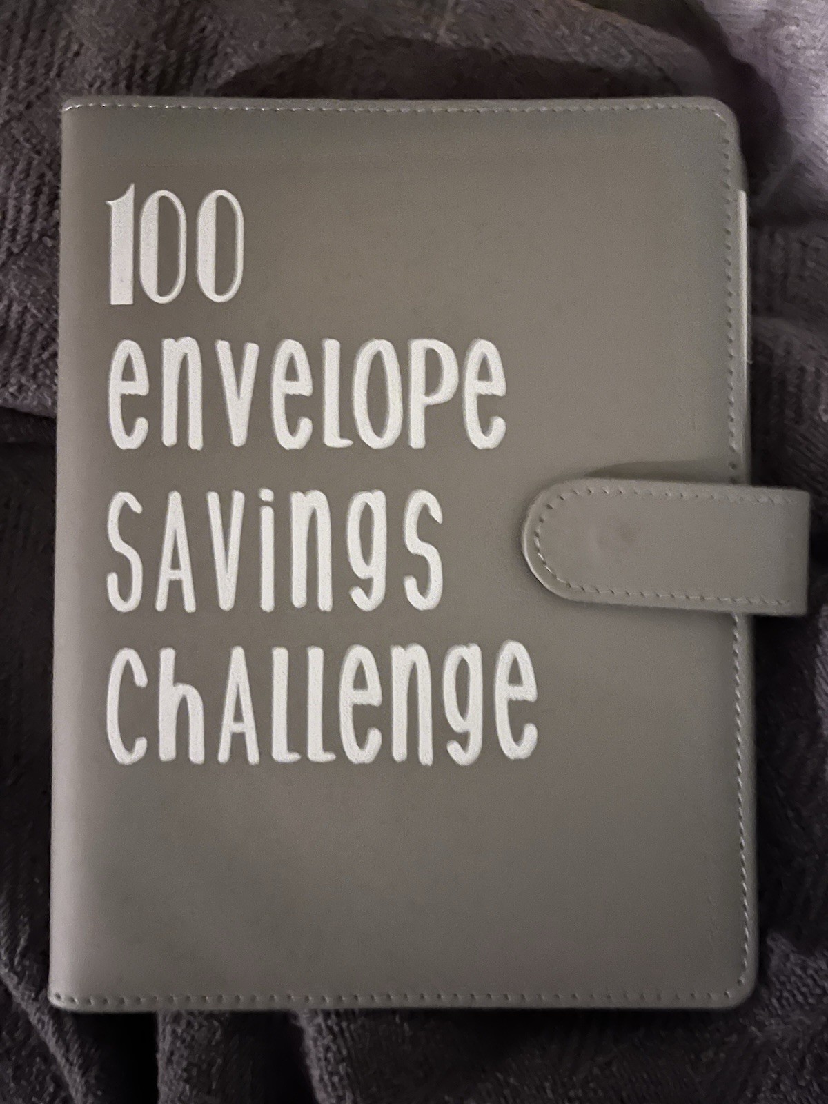 100 Envelope Savings Challenge Binder Budgeting Tool for Money Management