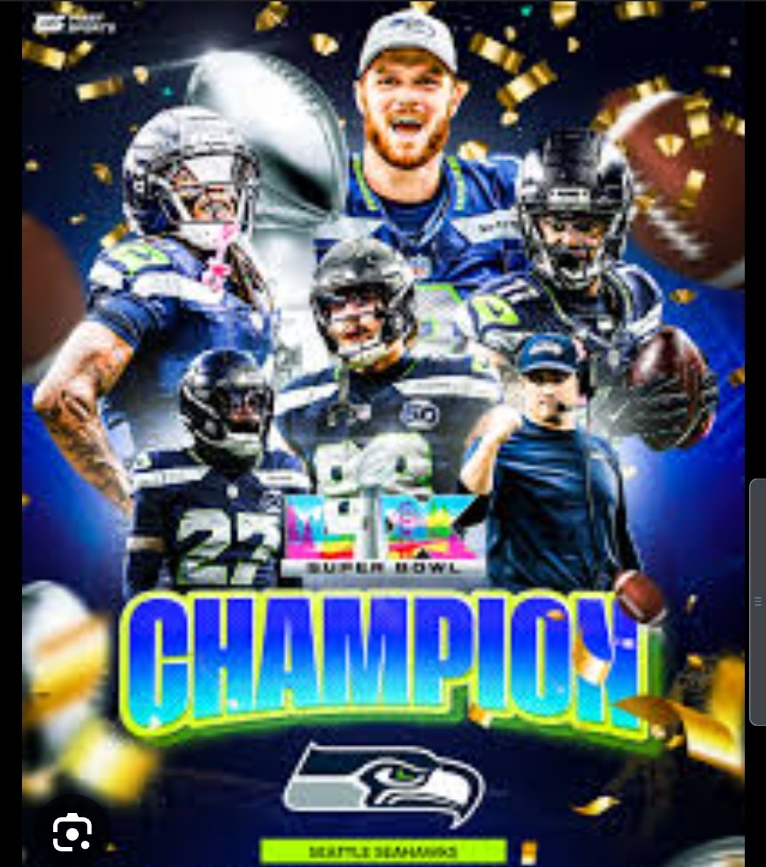 SEAHAWKSFANCLUB.COM  Superbowl Champions domain Seattle Seahawks Sports NFL 