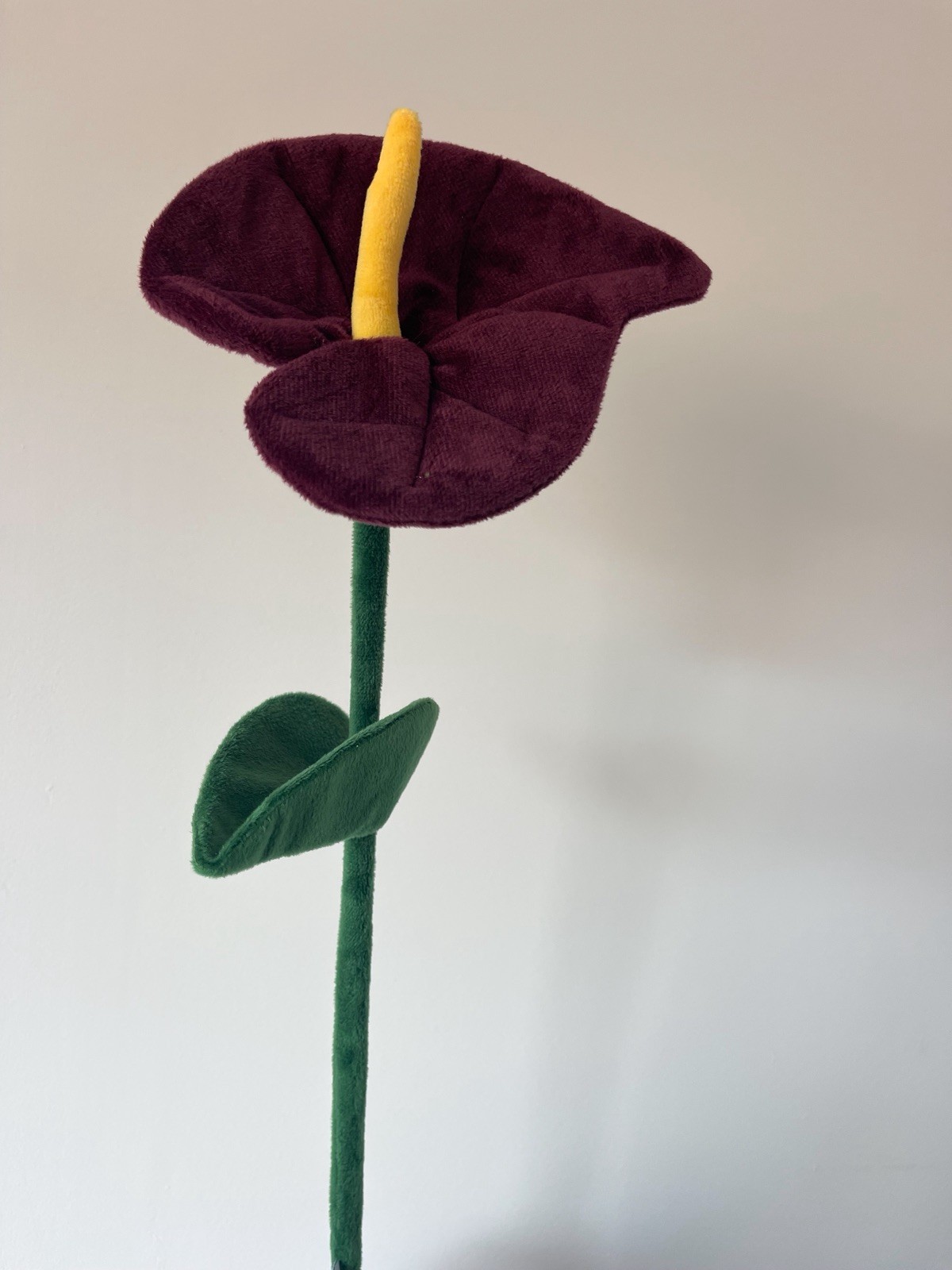 CJ Hendry Flower Shop Flower