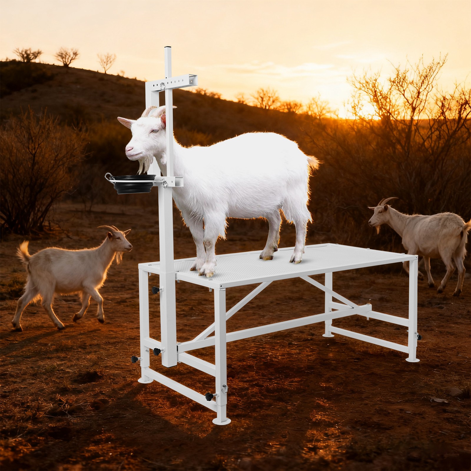 Goat Milking Stand w/Headpiece and Feeding Bin for Goat Milk and Sheep Trimming