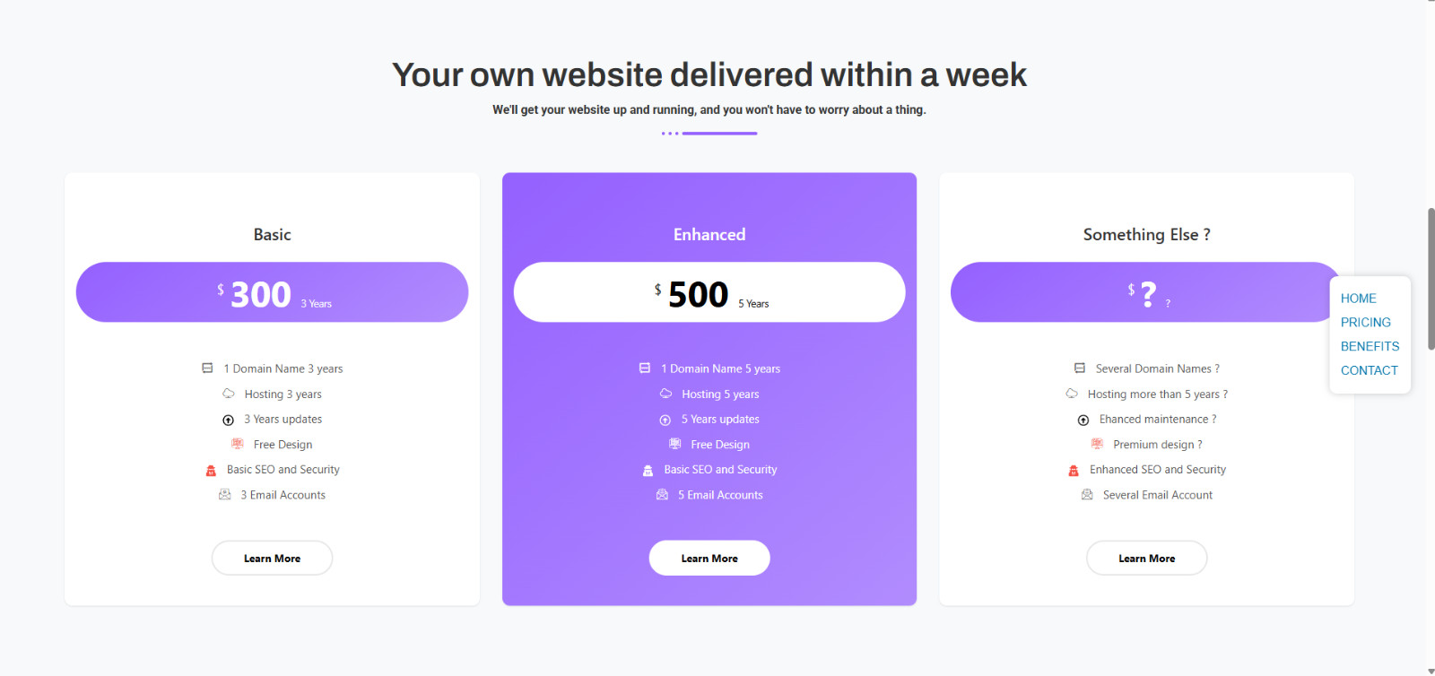 Website Building service