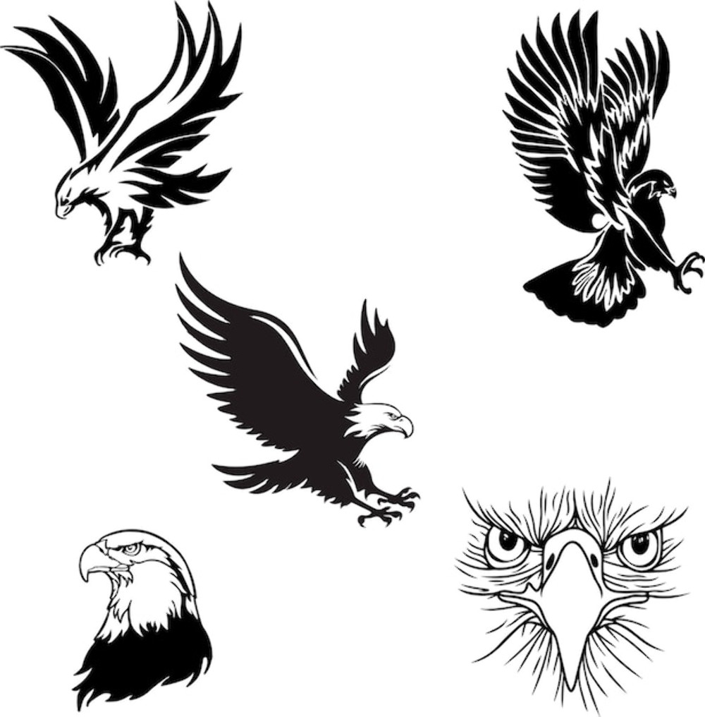 Eagle car sticker vector file Die Cut Vinyl Decal