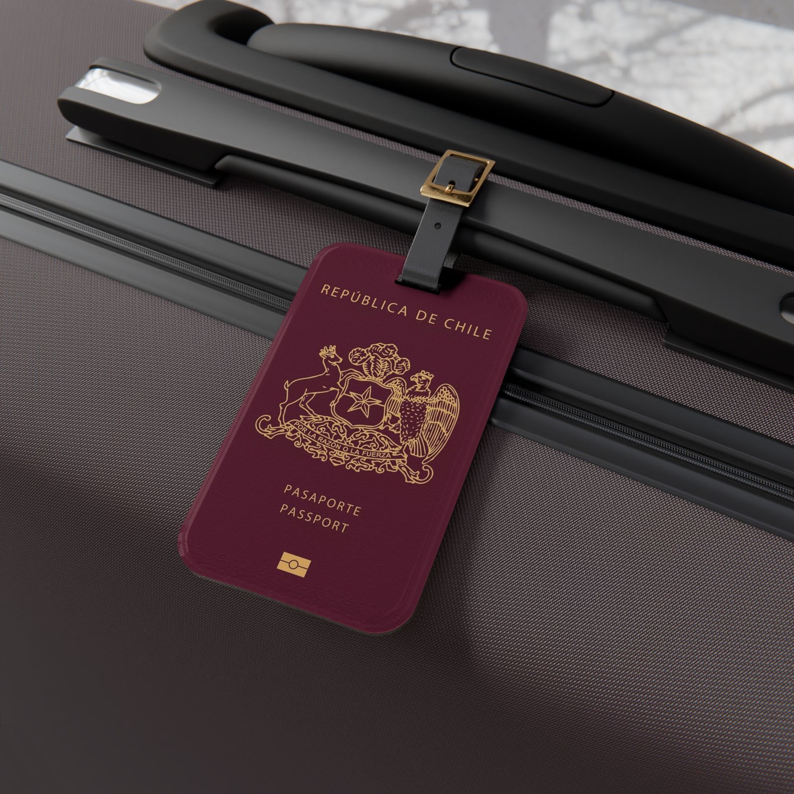 Chile Passport Cover Luggage Tag