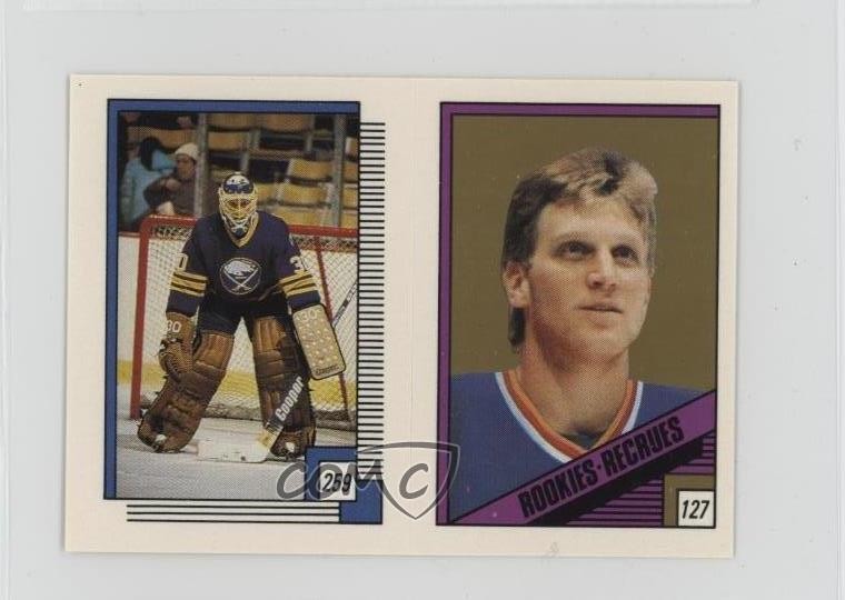 1988-89 O-Pee-Chee Album Stickers Tom Barrasso Brett Hull #127-259 HOF 10ou
