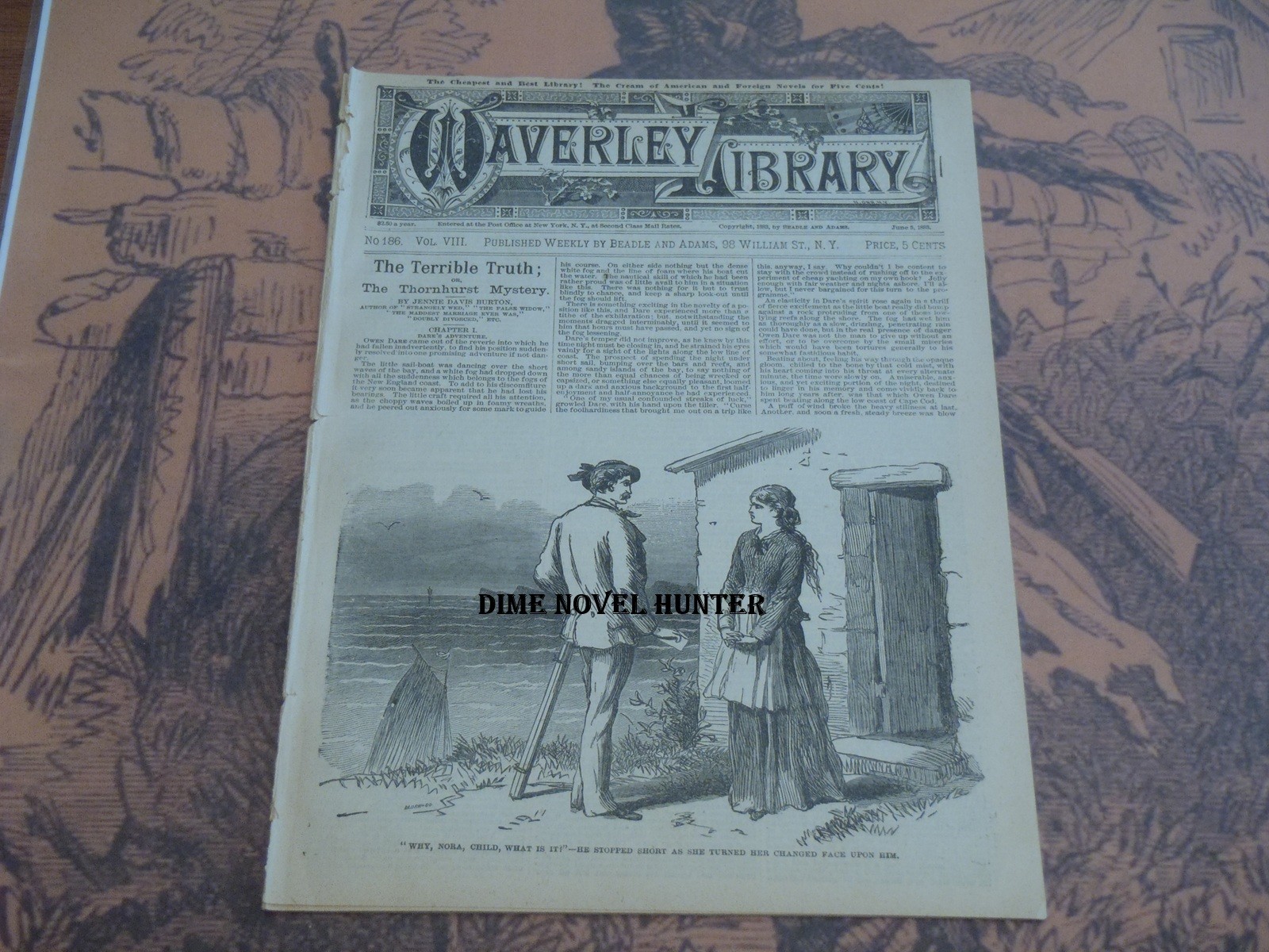 JENNIE D BURTON  BEADLE & ADAMS WAVERLEYLIBRARY #186 VERY SCARCE FINE DIME NOVEL