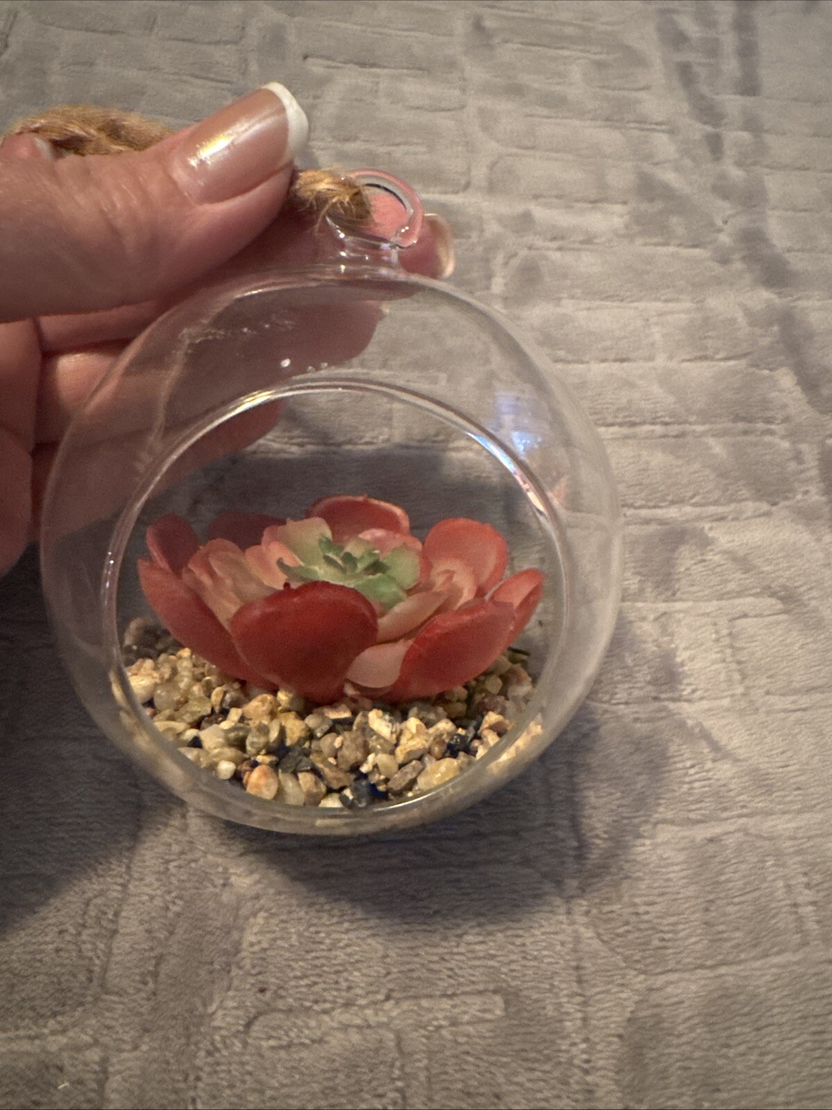 Hanging Glass Artificial Succulent Globe 6"