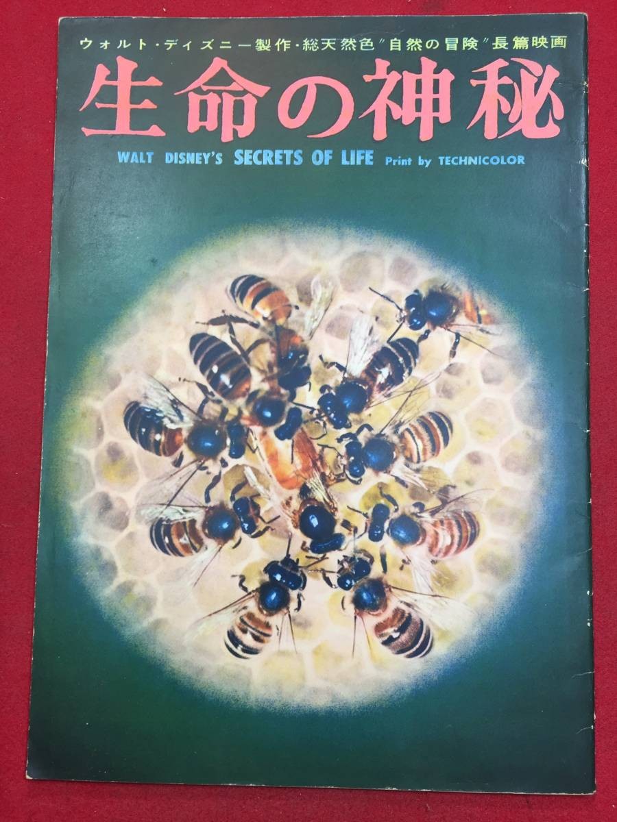 09970 The Mystery of Life A4 size pamphlet James Alger Paul J. Smith James Alger