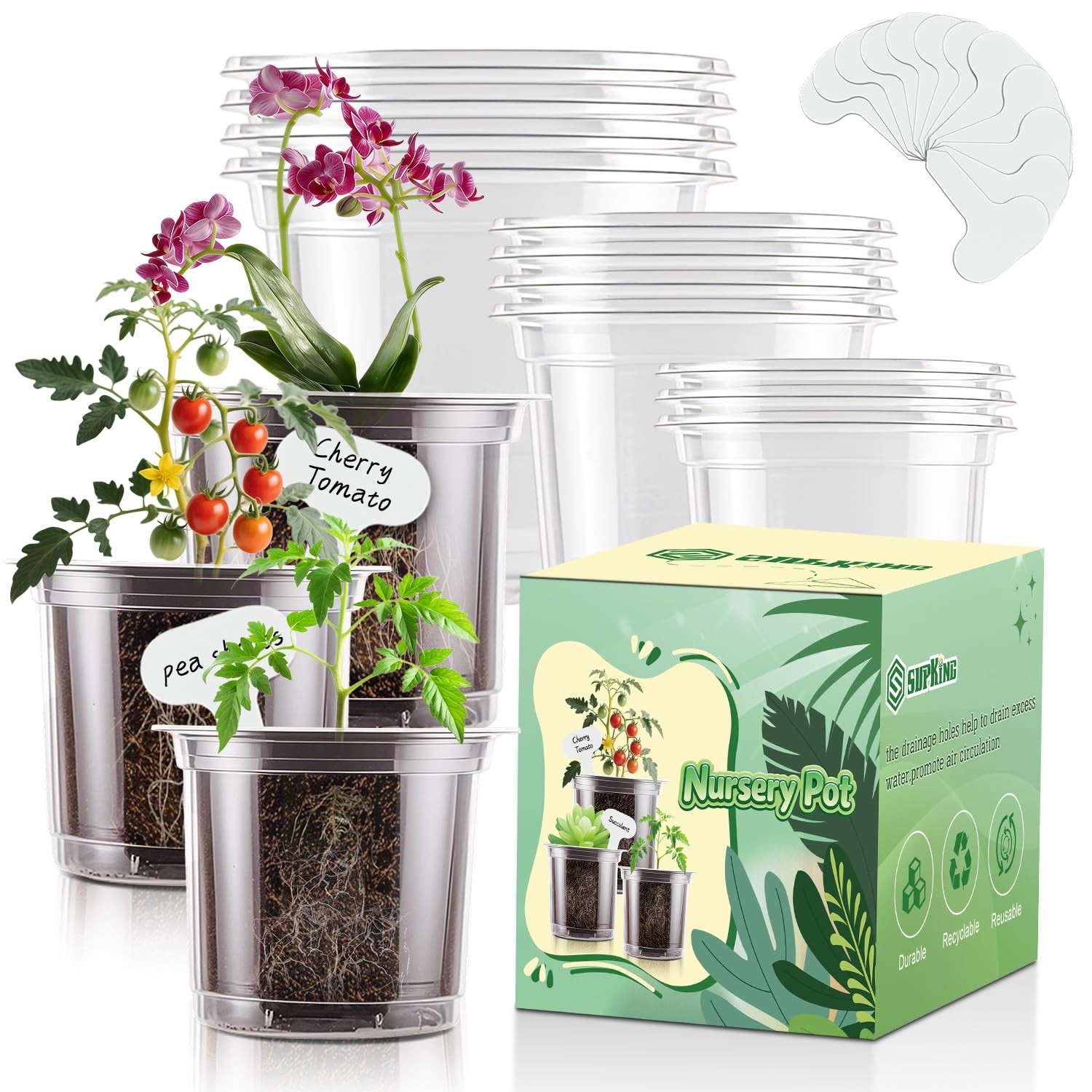 SupKing Clear Nursery Pots 5/4/3.5 Inch Plastic Seed 3.5/4/5 in, 