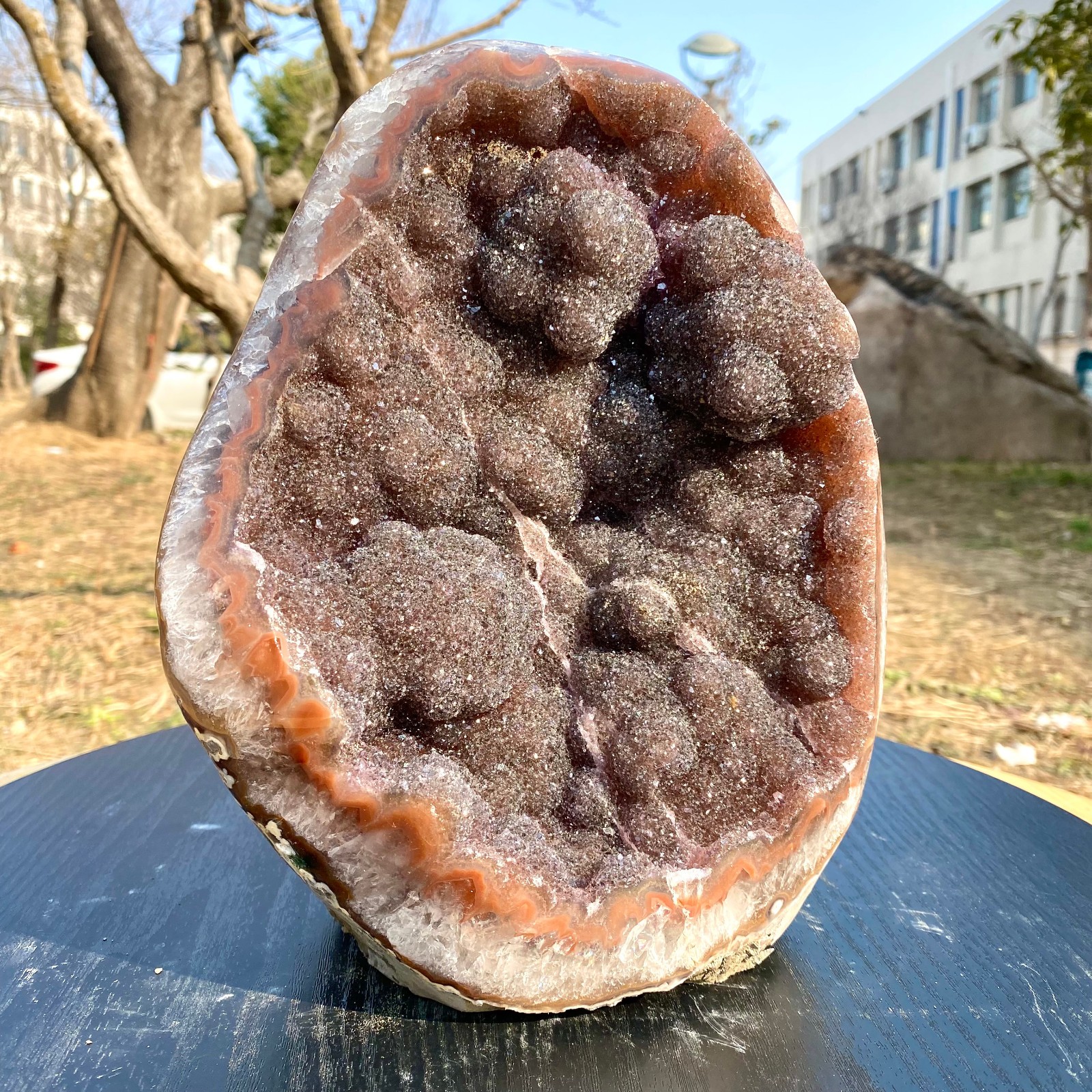 13.2LB  Natural Uruguayan Druzy Black Amethyst Cut Base Specimen Quartz,Mineral