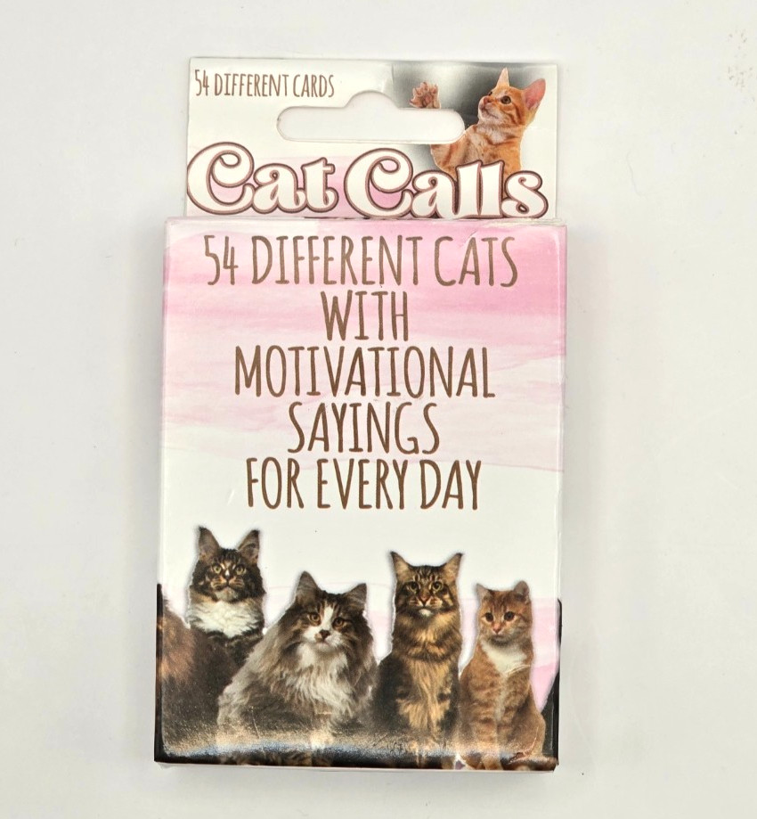 54 Cats Motivational Saying Cards – 54 Card Set –  Small Box Tear – Complete