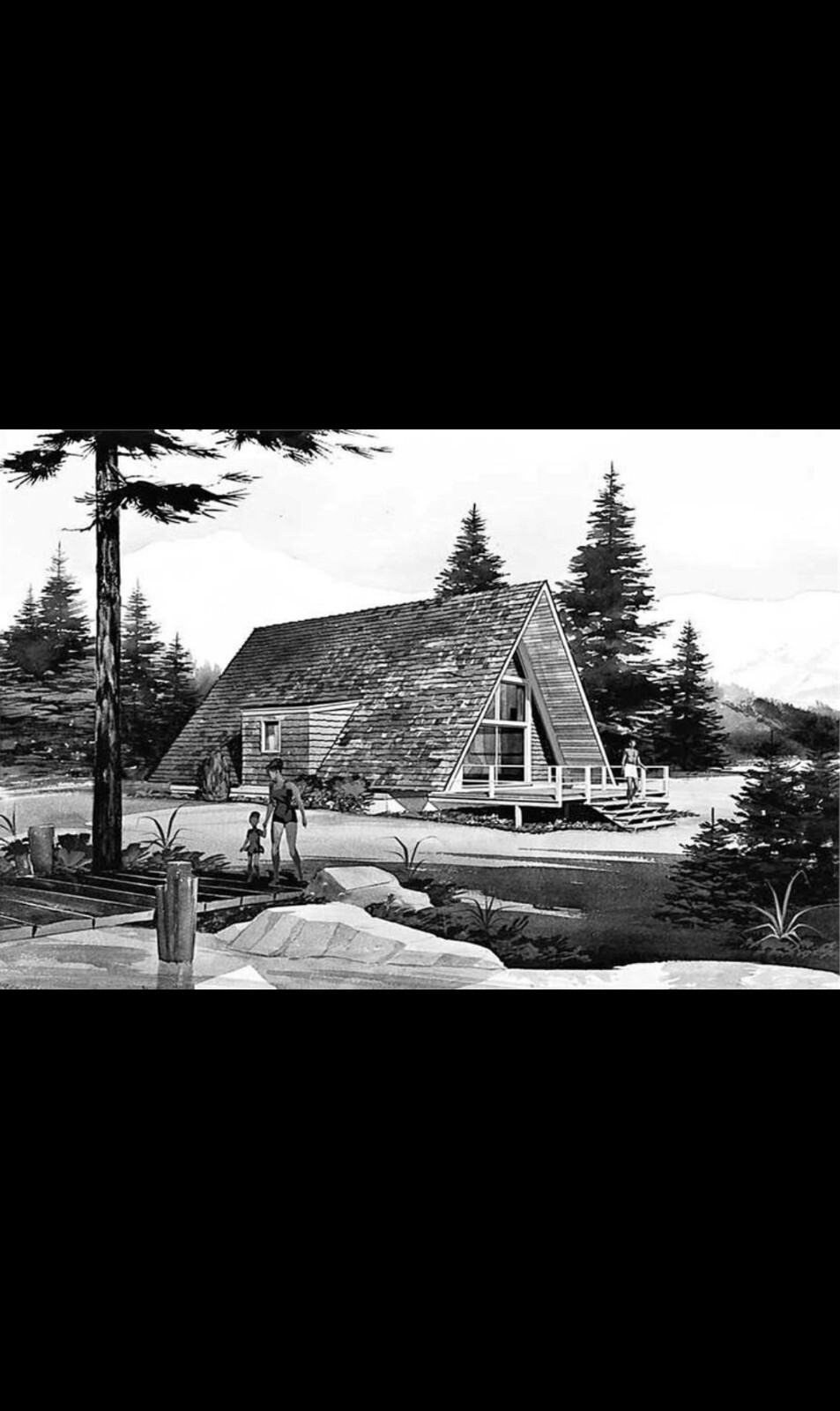 Real Estate - A-FRAME house plan (C.A.D file - Contractor plan)