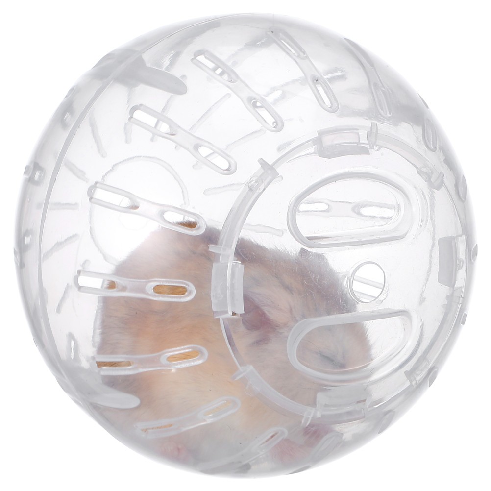 Dwarf Hamster Running Ball 10cm Clear Plastic Exercise Toy White