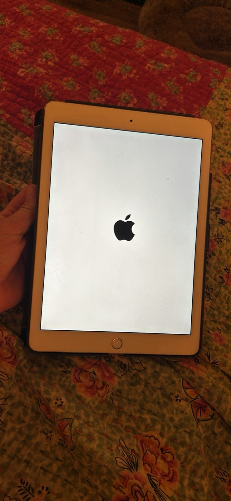 Apple iPad Air 2 Rose Gold Tablet Wi-Fi LTE 64 GB with Case Bundle