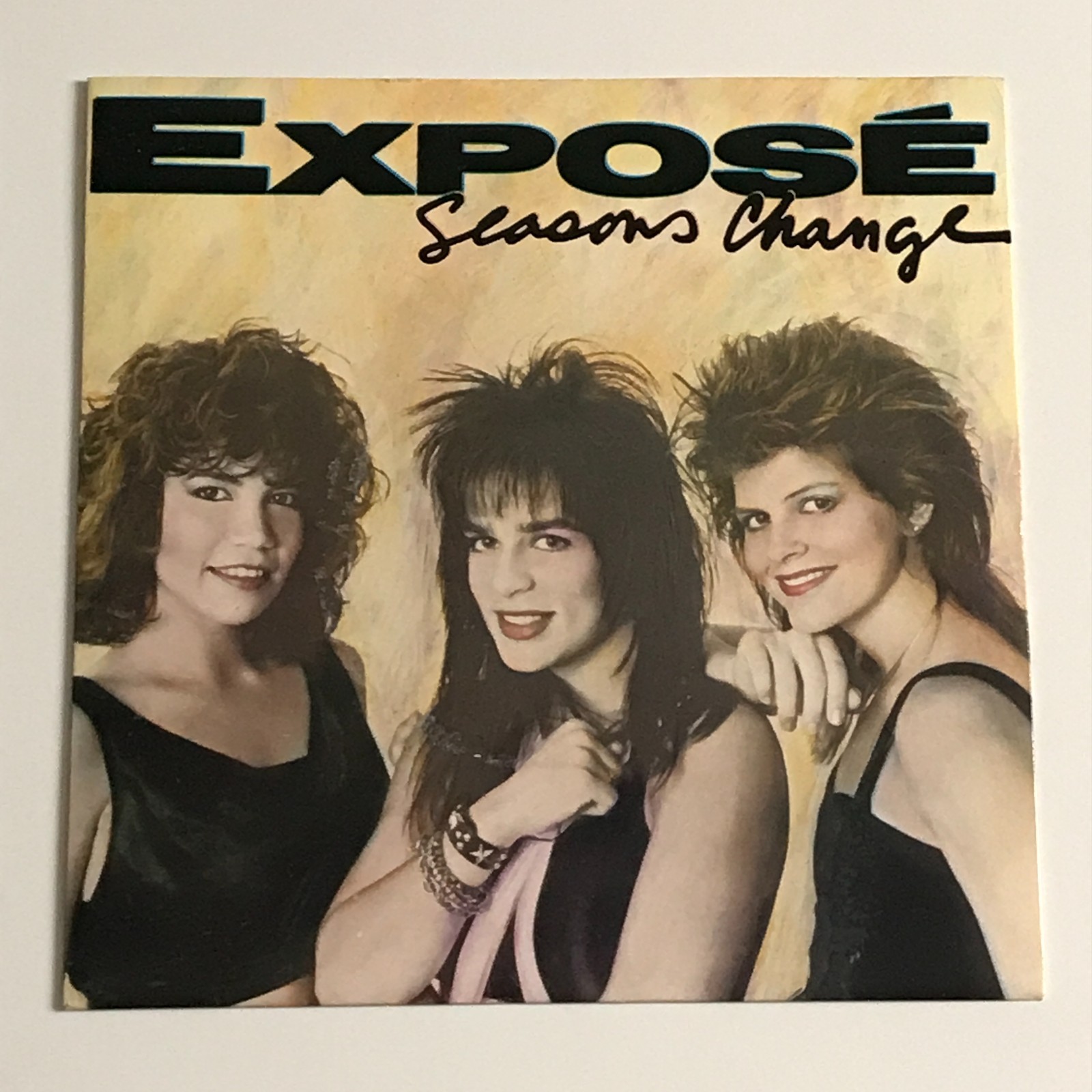 Exposé - Seasons Change 7" Vinyl Record - 109 742 EX/EX