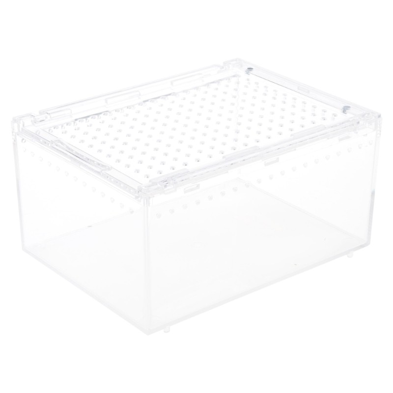 Acrylic Insect Feeding Box Reptile Habitat Terrarium Breeding Box for Isopods