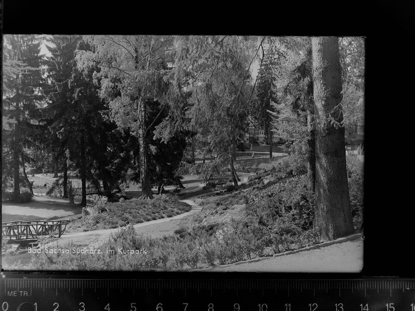 30045295 - 3423 Bad Sachsa in the spa park