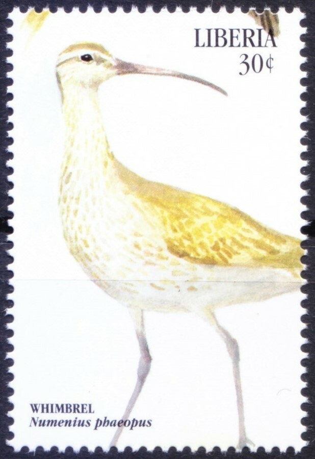 Liberia 1999 MNH, Sea Birds, Whimbrel  
