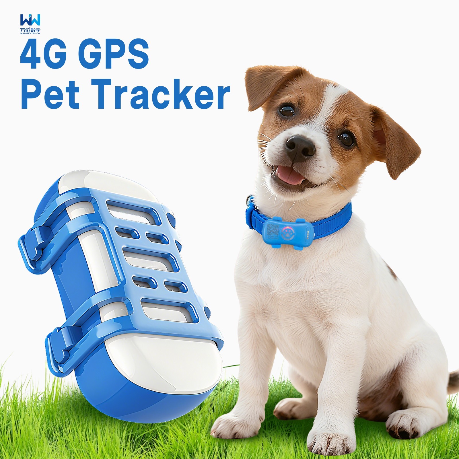 4G Real-Time dogs GPS Tracker for Medium/Large Dogs Geo-Fence Waterproof