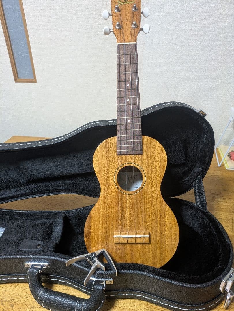 Famous Soprano Ukulele FS-5G Ukulele Bonus Capo