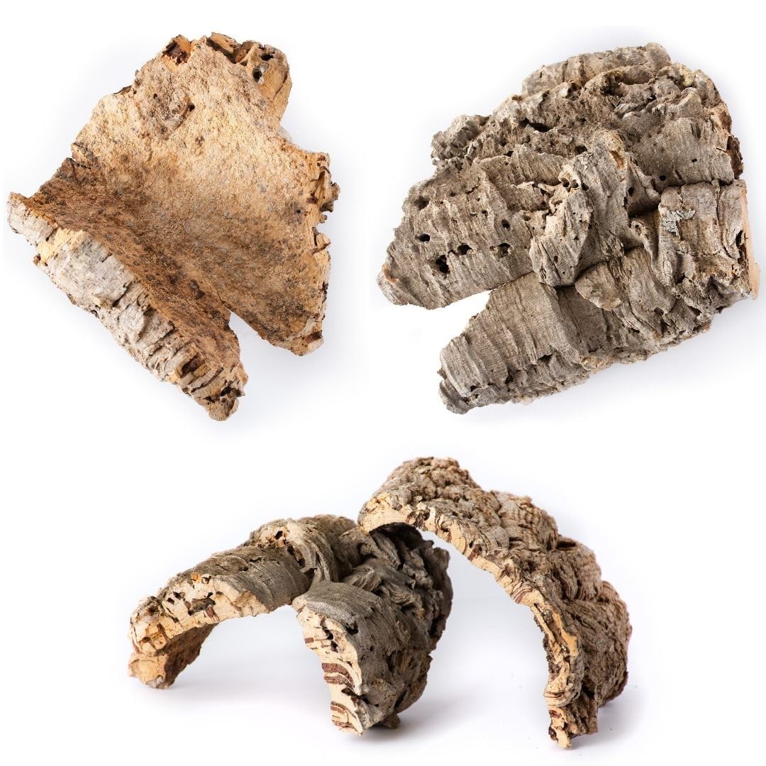 Natural Cork Bark for Reptiles, Bearded Dragons, Snakes, and Geckos  6” to 9”