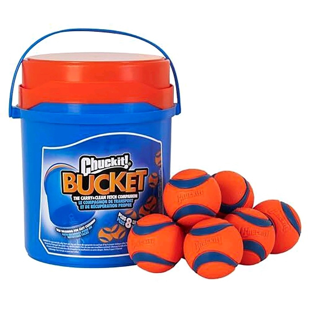 Chuckit Ultra Ball Dog Toy with Chuckit Cleaning Bucket Bouncy Fetch Pet Toys