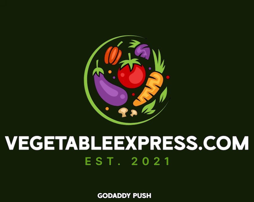 vegetableexpress.com two word .com domain name Godaddy Est. 2021 Late-2026