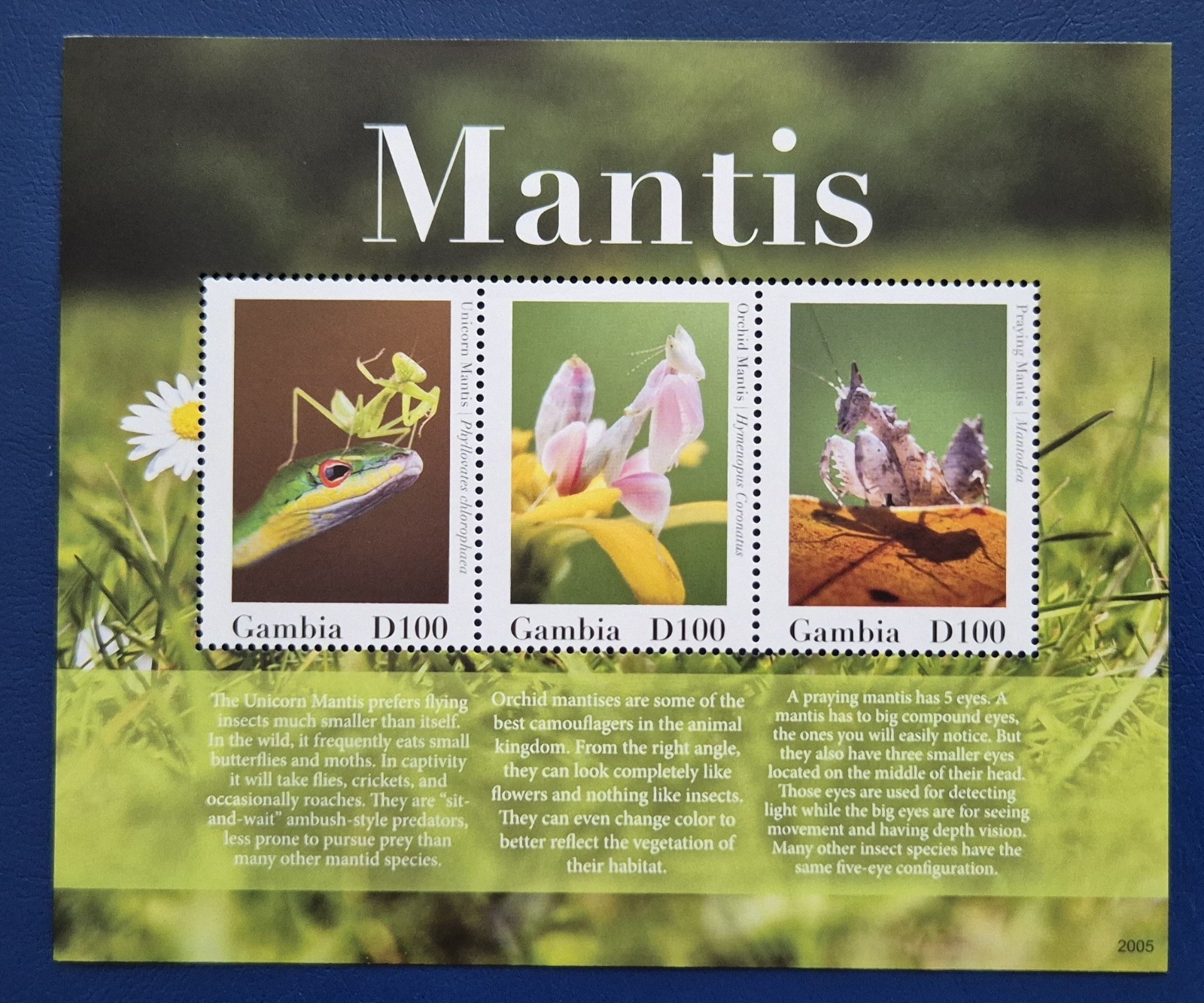 Gambia 2020 / Insects - Mantis / 3v ms