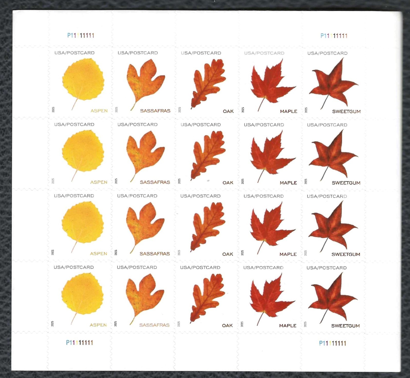 SC#5966 - 5970 - Vibrant Leaves - Sheet of 20 - Post Card Rate