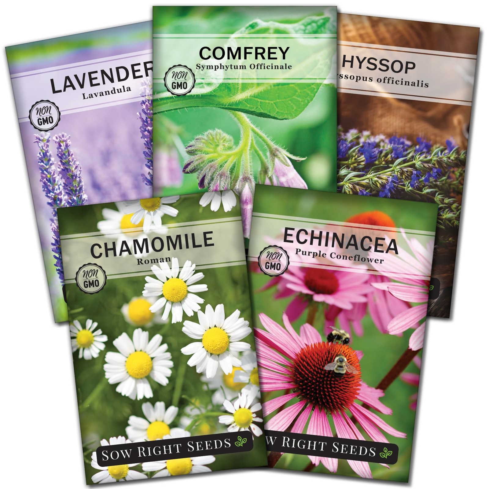 Sow Right Seeds - Medicinal Herb Seed Collection for Planting 5 Packets, Mix 