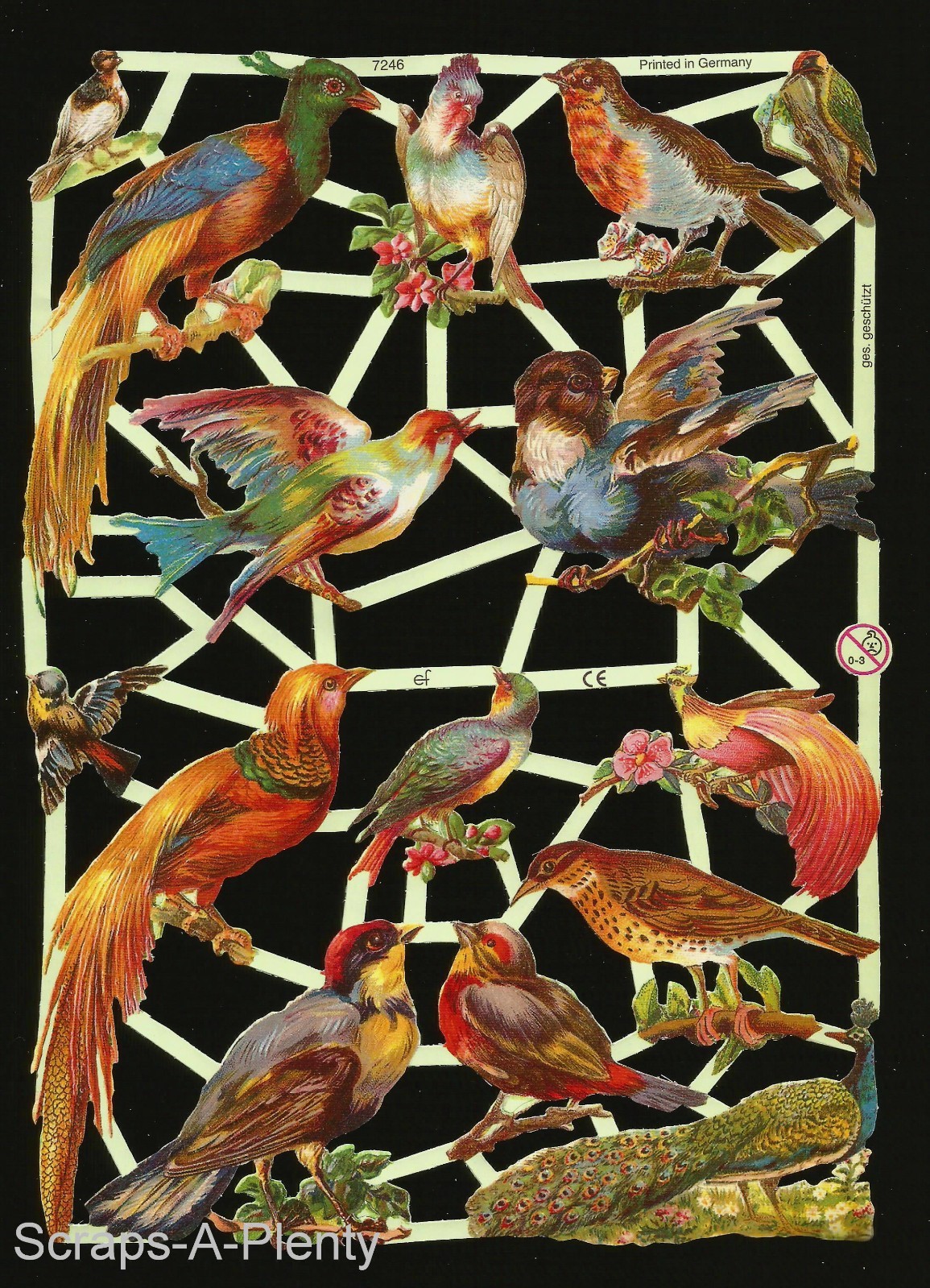 German Embossed Vintage Style Scrap Die Cut - Beautiful Colorful Birds EF7246