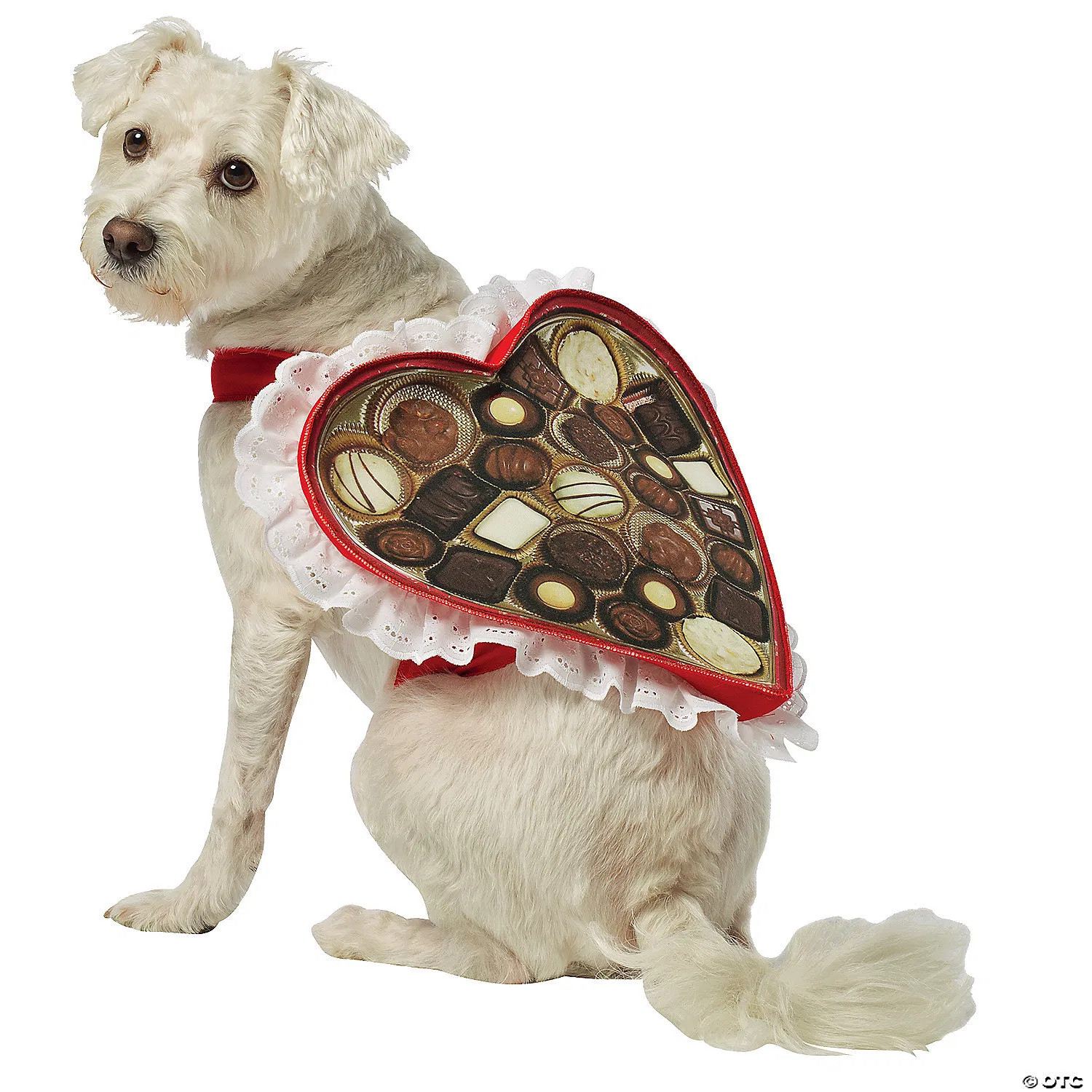 Chocolate box pet costume
