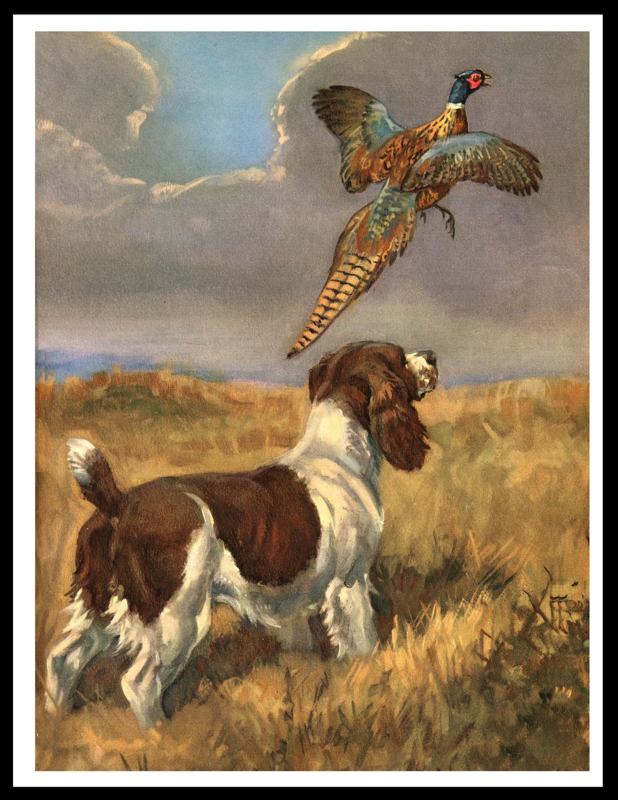 ENGLISH SPRINGER SPANIEL DOG ART PRINT POSTER  PUTTING UP PHEASANT