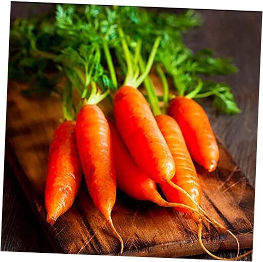 Baby Carrot Seeds - Little Finger Carrots - A Delicacy - 900 Seeds 