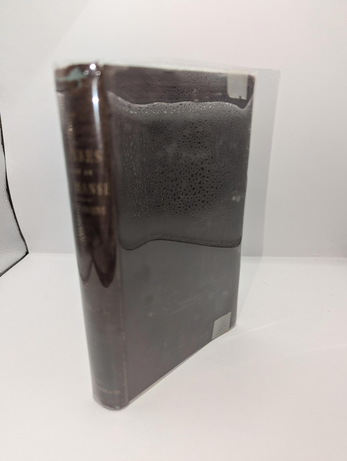 1854 Mosses from an Old Manse by Nathaniel Hawthorne - New Edition - Vol I only