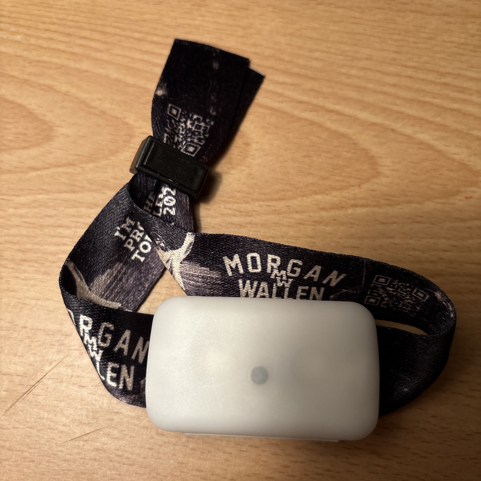 Morgan Wallen "I'm The Problem"  Wristband 2025 Tour