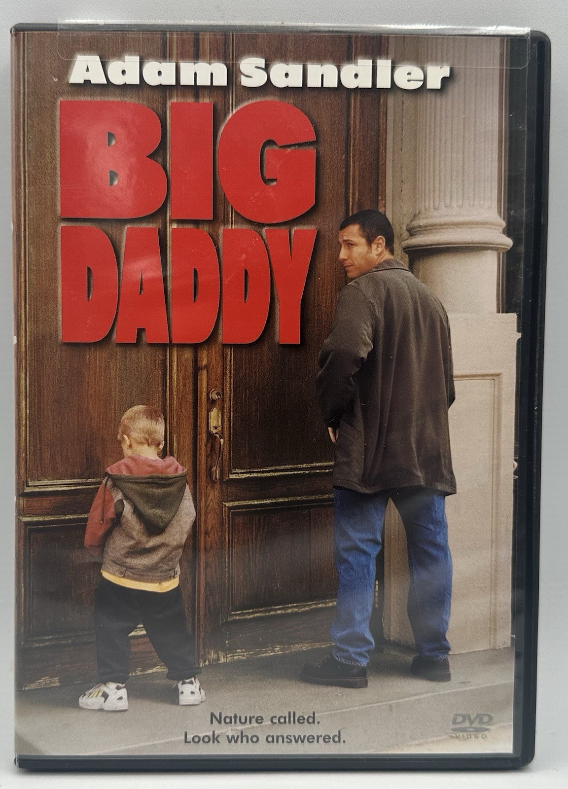Big Daddy DVD Widescreen Adam Sandler Joey Lauren Adams Jon Stewart 1999